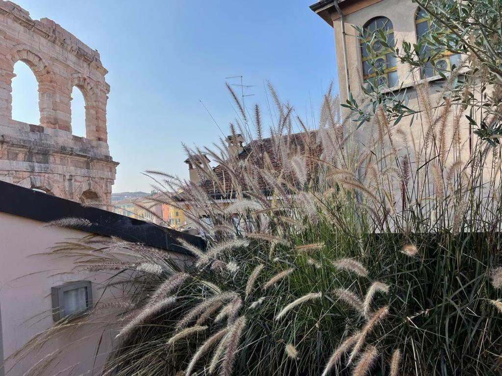La Terrazza Sull'Arena Apartment Verona Ngoại thất bức ảnh