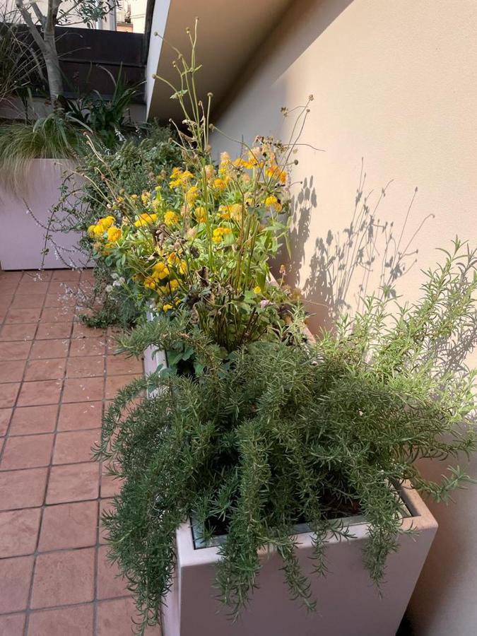 La Terrazza Sull'Arena Apartment Verona Ngoại thất bức ảnh